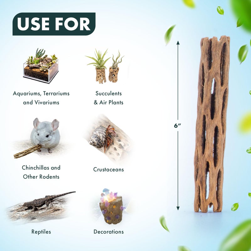 SubstrateSource Natural Cholla Wood - Driftwood for Aquariums, Air Plant Base, Hermit Crab and Freshwater Shrimp Hideout, Fish Tank Decoration, Chinchilla Chews, Reptile Habitat Wood - 6 Inch, 2pc - Image 4